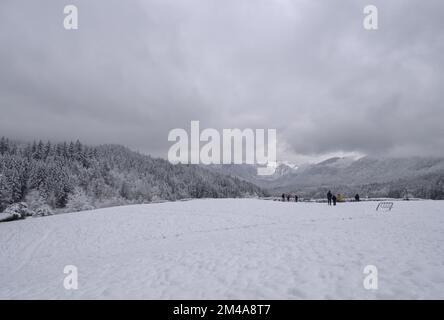 Verschneite Winterlandschaft im Capilano River Regional Park in der Nähe des Cleveland Dam in North Vancouver, British Columbia, Kanada Stockfoto