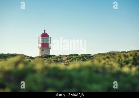 Der Leuchtturm von Cape Saint Vincent, der aus der Bodenvegetation hervorgeht, der Leuchtturm, Portugal Stockfoto