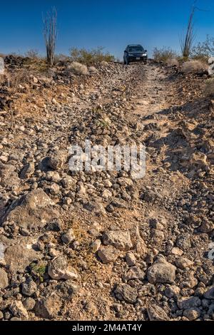 Raue Straße über Pinacate Lavastein Felsen, El Camino del Diablo, Cabeza Prieta Natl Wildlife Refuge, Arizona, USA Stockfoto