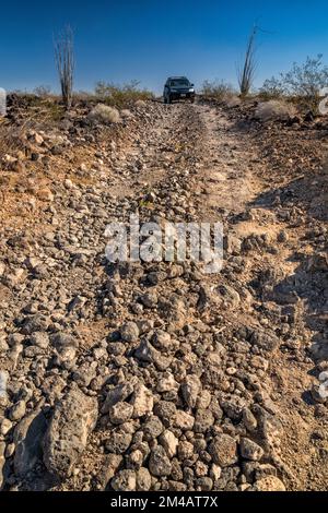 Raue Straße über Pinacate Lavastein Felsen, El Camino del Diablo, Cabeza Prieta Natl Wildlife Refuge, Arizona, USA Stockfoto