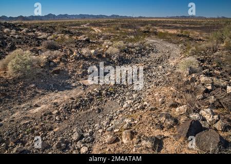 Raue Straße über Pinacate Lavastein Felsen, El Camino del Diablo, Cabeza Prieta Natl Wildlife Refuge, Arizona, USA Stockfoto