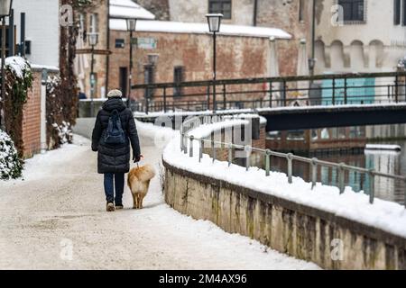 Landshut, Deutschland. 20.. Dezember 2022. Eine Frau geht mit einem Hund am schneebedeckten Ufer der Isar im Stadtzentrum spazieren. Kredit: Armin Weigel/dpa/Alamy Live News Stockfoto