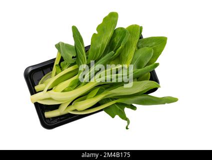 Young Fresh Pak Chai oder Green Pakchoi oder Bok Choy in schwarzem Kunststoffbehälter zum Verkauf, flach liegendes Bio-Gemüse, Einzelbild auf weißem Hintergrund. Stockfoto