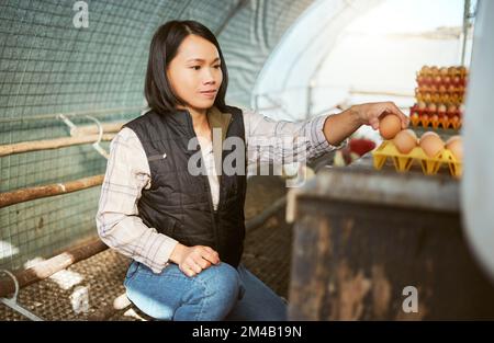 Landwirt, Hühnereier und asiatische Frau, die auf dem Land für Nachhaltigkeit der Ernährung, Agrarökologie und Kleinunternehmen tätig ist. Ökologischer Landbau Stockfoto