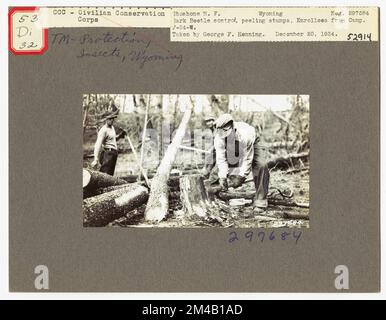 Disease Control - Wyoming. Fotografien zu National Forests, Resource Management Practices, Personal sowie Kultur- und Wirtschaftsgeschichte Stockfoto