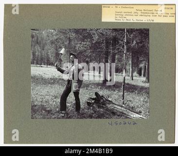 Disease Control - Wyoming. Fotografien zu National Forests, Resource Management Practices, Personal sowie Kultur- und Wirtschaftsgeschichte Stockfoto