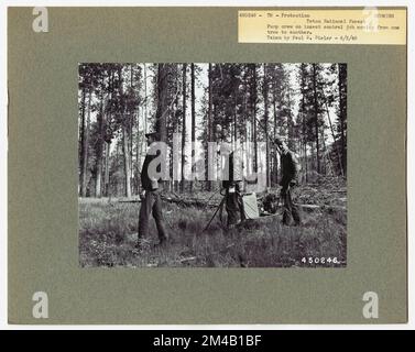 Disease Control - Wyoming. Fotografien zu National Forests, Resource Management Practices, Personal sowie Kultur- und Wirtschaftsgeschichte Stockfoto