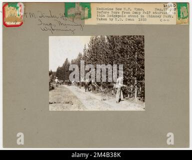 Ausdünnung – Wyoming. Fotografien zu National Forests, Resource Management Practices, Personal sowie Kultur- und Wirtschaftsgeschichte Stockfoto