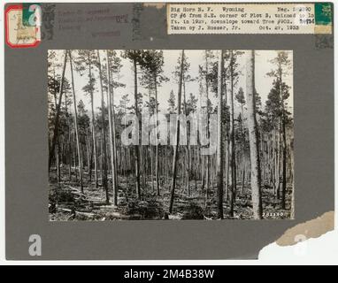 Ausdünnung – Wyoming. Fotografien zu National Forests, Resource Management Practices, Personal sowie Kultur- und Wirtschaftsgeschichte Stockfoto