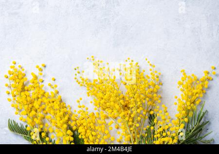 Ein Strauß gelber Mimosablüten auf hellem Betonhintergrund. Konzept des Muttertags, des glücklichen Frauentages. Draufsicht und Kopierbereich Stockfoto