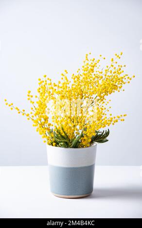 Ein Strauß gelber Mimosablüten steht in einer Keramikvase auf grauem Hintergrund. Konzept vom 8. März, fröhlicher Frauentag. Speicherplatz kopieren Stockfoto