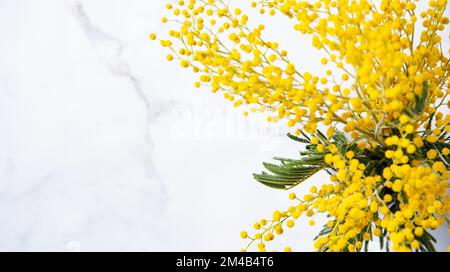 Ein Strauß gelber Mimosablüten steht in einer Keramikvase auf Marmorhintergrund. Konzept vom 8. März, fröhlicher Frauentag. Draufsicht und Kopierbereich Stockfoto
