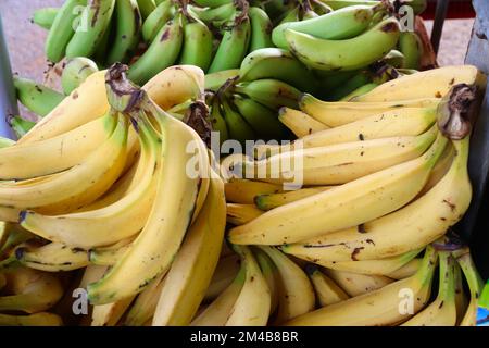Lebensmittelmarkt in Guadeloupe. Karibische gelbe und grüne Bananen. Stockfoto