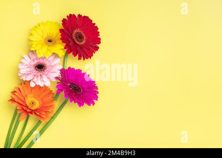 Gerberastrauss auf gelbem Hintergrund Draufsicht Flat Lay Holiday Grußkarte Happy Moter's day, 8. März, Valentinstag, Osterkonzept Copy spc Stockfoto