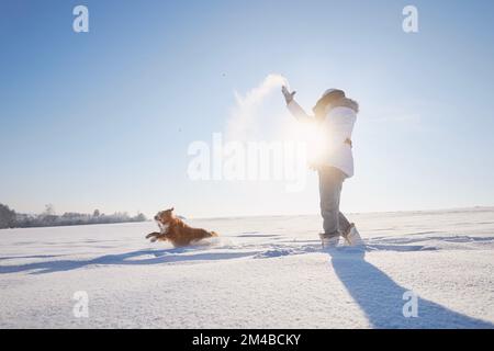 Frau, die mit dem Hund spielt, während sie in einer verschneiten Landschaft spaziert. Tierbesitzer, der mit seinem verspielten Nova Scotia Duck Tolling Retriever Schnee wirft. Stockfoto
