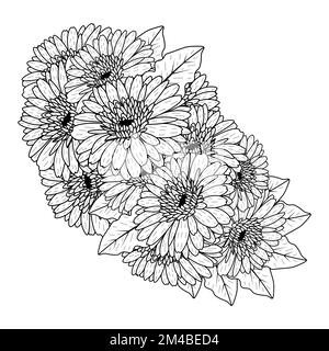 Wunderschöne Blumen der Gerbera Gänseblümchen Farbzeichnung in Vektorgrafik der Strichkunst Stock Vektor