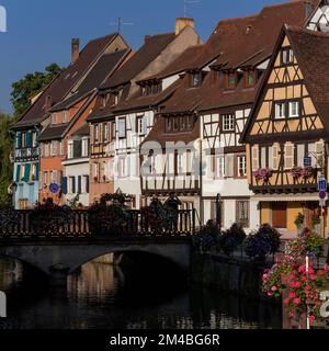 Die Blumen verleihen dem historischen Quai de la Poissonnerie oder der Fischmonger's Wharf, einem Teil des malerischen Stadtteils Little Venice von Colmar im Elsass, Grand Est, Frankreich, weitere Farbakzente, wo die Stile der Holzrahmung auf französische und deutsche Traditionen zurückgehen. Stockfoto