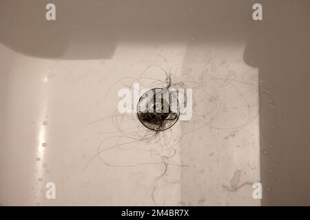 Das weiße Waschbecken in der Badewanne war voller dreckiger Haare und Staub, der Abfluss war mit Haaren verstopft Stockfoto