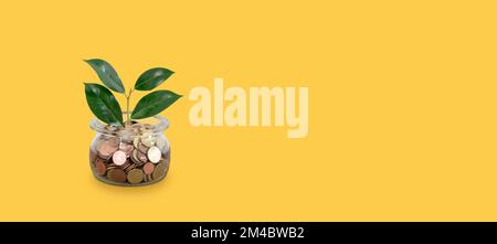 Money growing concept isolated on yellow background. Stockfoto
