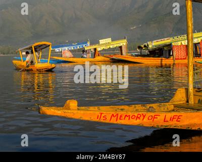 Komfortable shikaras sind bekannt für eine entspannte bootride am Dal Lake Stockfoto