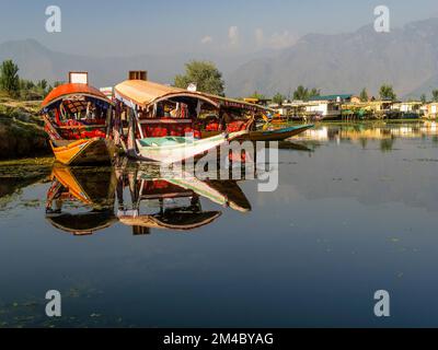 Komfortable shikaras sind bekannt für eine entspannte bootride am Dal Lake Stockfoto