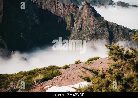 Blick auf einen nebelbedeckten Berg auf madeira Stockfoto