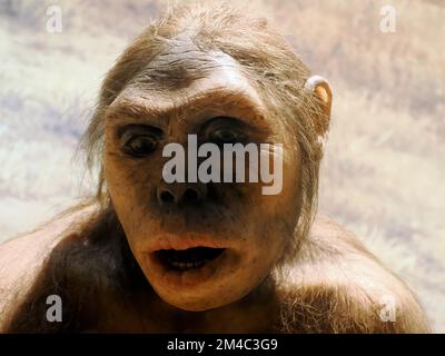 Die Neandertaler prähistorische Frau im lucy-Stil zeigt Details Stockfoto