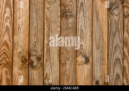 HINTERGRUNDSTRUKTUR - Neue Zaunplanken aus Holz Stockfoto