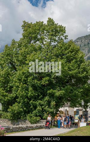 Altenkalk, macugnaga, italien Stockfoto