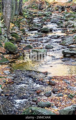 Ilsetal nahe Ilsenburg im Harz; Ilse bei Ilsenbur im Harzgebirge, Deutschland Stockfoto