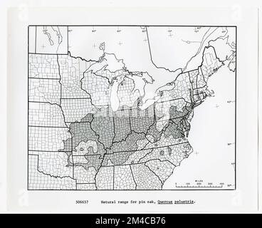 Karten und Karten – Alle Status. Fotografien zu National Forests, Resource Management Practices, Personal sowie Kultur- und Wirtschaftsgeschichte Stockfoto