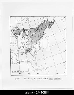 Karten und Karten – Alle Status. Fotografien zu National Forests, Resource Management Practices, Personal sowie Kultur- und Wirtschaftsgeschichte Stockfoto