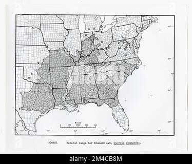 Karten und Karten – Alle Status. Fotografien zu National Forests, Resource Management Practices, Personal sowie Kultur- und Wirtschaftsgeschichte Stockfoto
