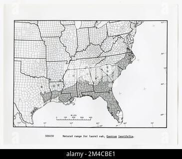 Karten und Karten – Alle Status. Fotografien zu National Forests, Resource Management Practices, Personal sowie Kultur- und Wirtschaftsgeschichte Stockfoto