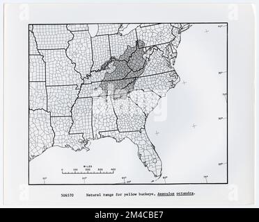 Karten und Karten – Alle Status. Fotografien zu National Forests, Resource Management Practices, Personal sowie Kultur- und Wirtschaftsgeschichte Stockfoto