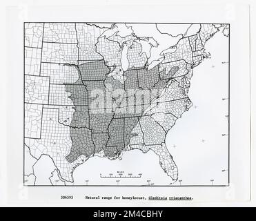 Karten und Karten – Alle Status. Fotografien zu National Forests, Resource Management Practices, Personal sowie Kultur- und Wirtschaftsgeschichte Stockfoto
