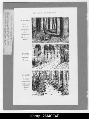 Karten und Karten – Alle Status. Fotografien zu National Forests, Resource Management Practices, Personal sowie Kultur- und Wirtschaftsgeschichte Stockfoto