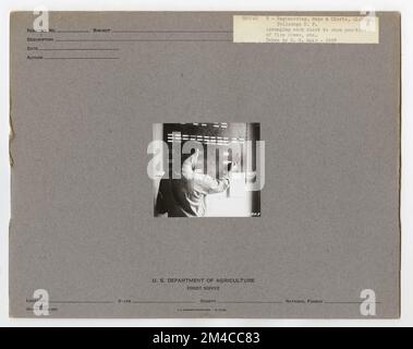 Karten und Karten – Alle Status. Fotografien zu National Forests, Resource Management Practices, Personal sowie Kultur- und Wirtschaftsgeschichte Stockfoto