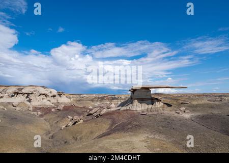 Foto des King of Wings, einer bizarren, erodierten Felsformation in der Nähe von Nageezi, New Mexico, USA. Stockfoto