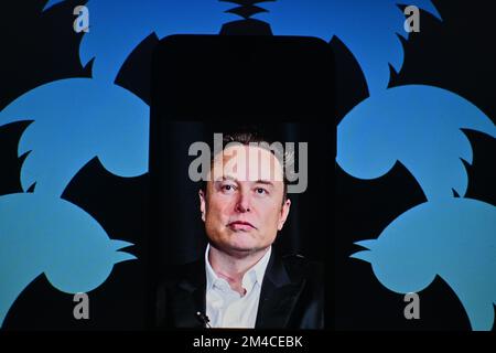 20. Dezember 2022, Cours la Ville, Auvergne Rhone Alpes, Frankreich: Elon Musk, Der CEO von Twitter ist mit dem Logo des sozialen Netzwerks zu sehen. Cours-la-Ville, 20. Dezember 2022. (Kreditbild: © Adrien Fillon/ZUMA Press Wire) Stockfoto