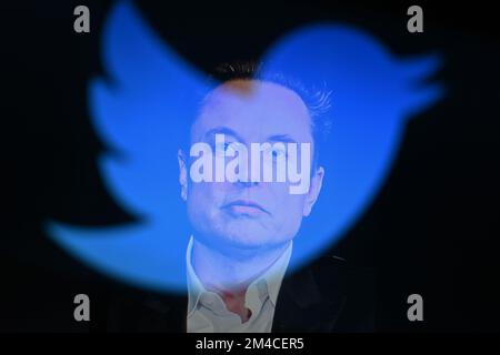 20. Dezember 2022, Cours la Ville, Auvergne Rhone Alpes, Frankreich: Elon Musk, Der CEO von Twitter ist mit dem Logo des sozialen Netzwerks zu sehen. Cours-la-Ville, 20. Dezember 2022. (Kreditbild: © Adrien Fillon/ZUMA Press Wire) Stockfoto