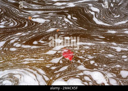 Schaummuster am Chippewa River, Batchawana Bay, Ontario, Kanada Stockfoto