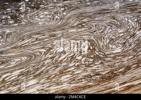 Schaummuster am Chippewa River, Batchawana Bay, Ontario, Kanada Stockfoto