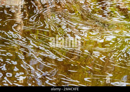 Schaummuster am Chippewa River, Batchawana Bay, Ontario, Kanada Stockfoto