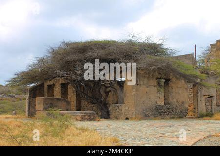 Ruinen der alten Balashi Goldmine, Aruba Stockfoto