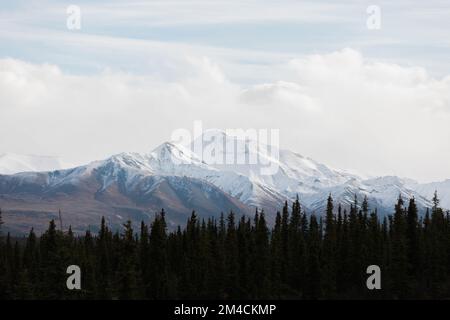 Alaskas Denali-Nationalpark im Herbst Stockfoto