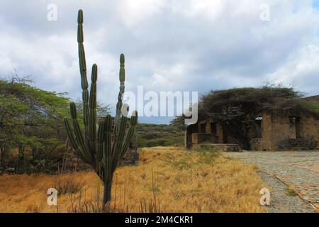 Ruinen der alten Balashi Goldmine, Aruba Stockfoto