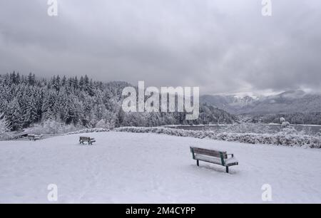 Verschneite Winterlandschaft im Capilano River Regional Park in der Nähe des Cleveland Dam in North Vancouver, British Columbia, Kanada Stockfoto