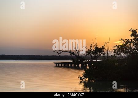 Sonnenaufgang in Bacalar Laguna Stockfoto