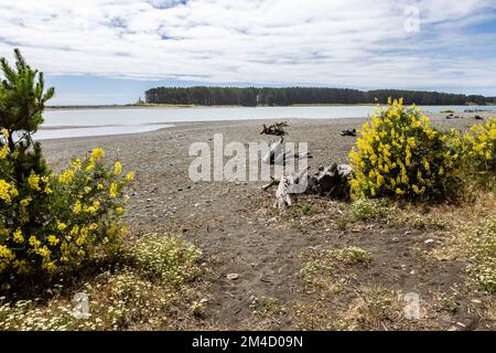 Caleta la Barra – der Punkt, an dem der Fluss Tolten in den pazifischen Ozean fließt, in Araucania, Chile Stockfoto